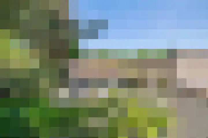 Beukelaar 10 Veghel thumbnail 40