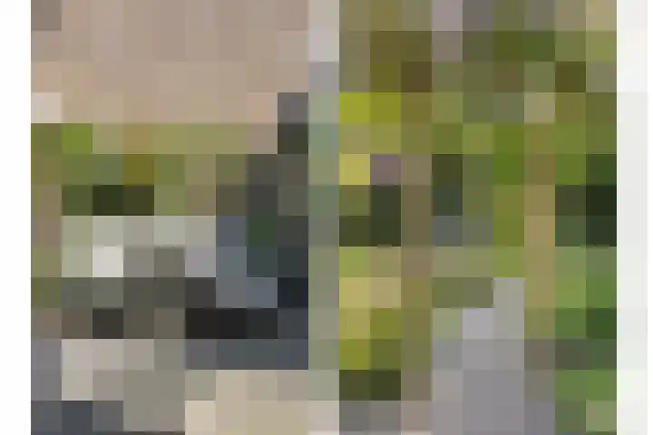 Beukelaar 10 Veghel thumbnail 43