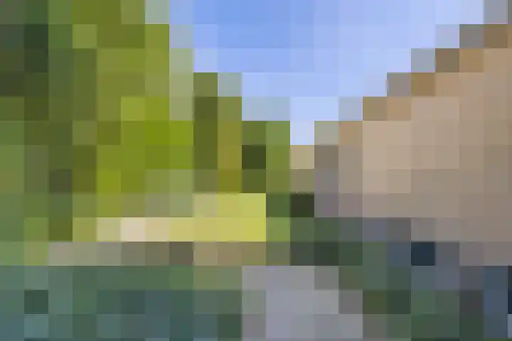 Beukelaar 10 Veghel thumbnail 44