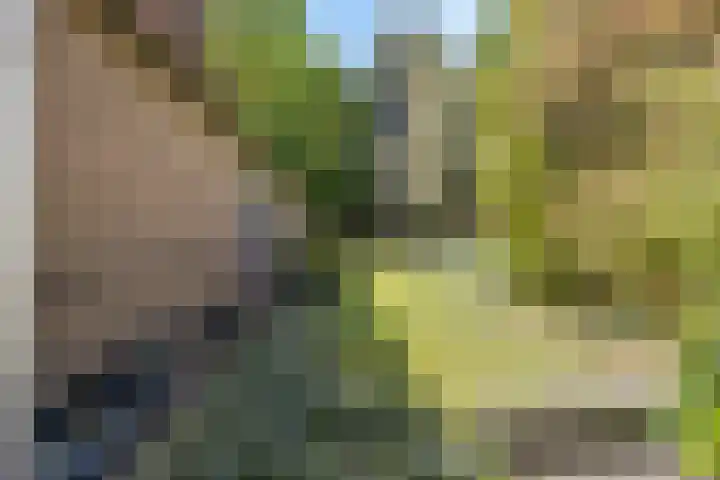 Beukelaar 10 Veghel thumbnail 45