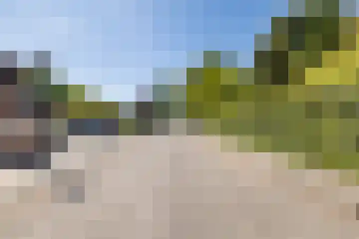 Beukelaar 10 Veghel thumbnail 47