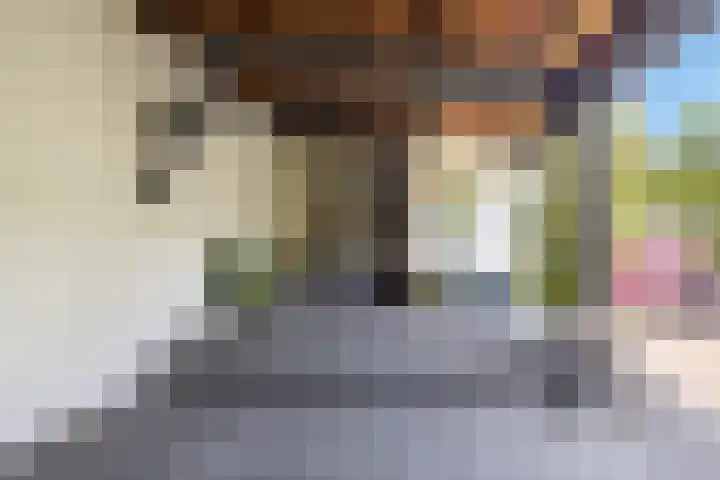 Beukelaar 10 Veghel thumbnail 6