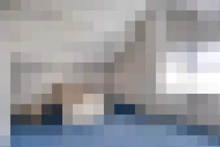 Beukelaar 38 Someren thumbnail 23