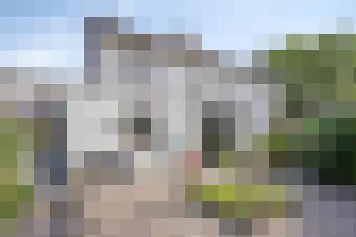 Beukelaar 38 Someren thumbnail 24