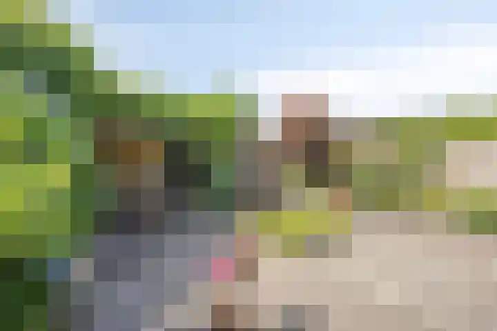 Beukelaar 38 Someren thumbnail 25