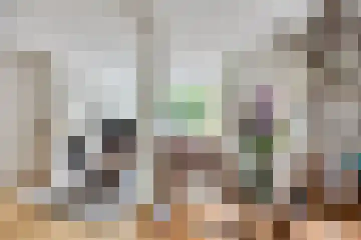 Beukelaar 38 Someren thumbnail 6