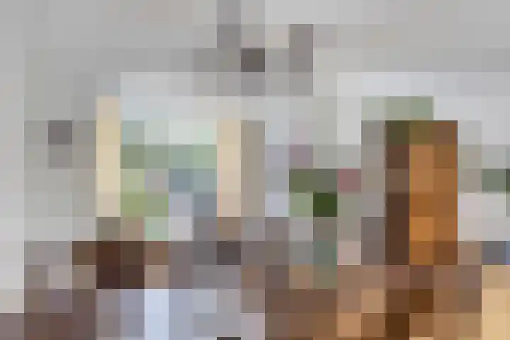 Beukelaar 38 Someren thumbnail 8