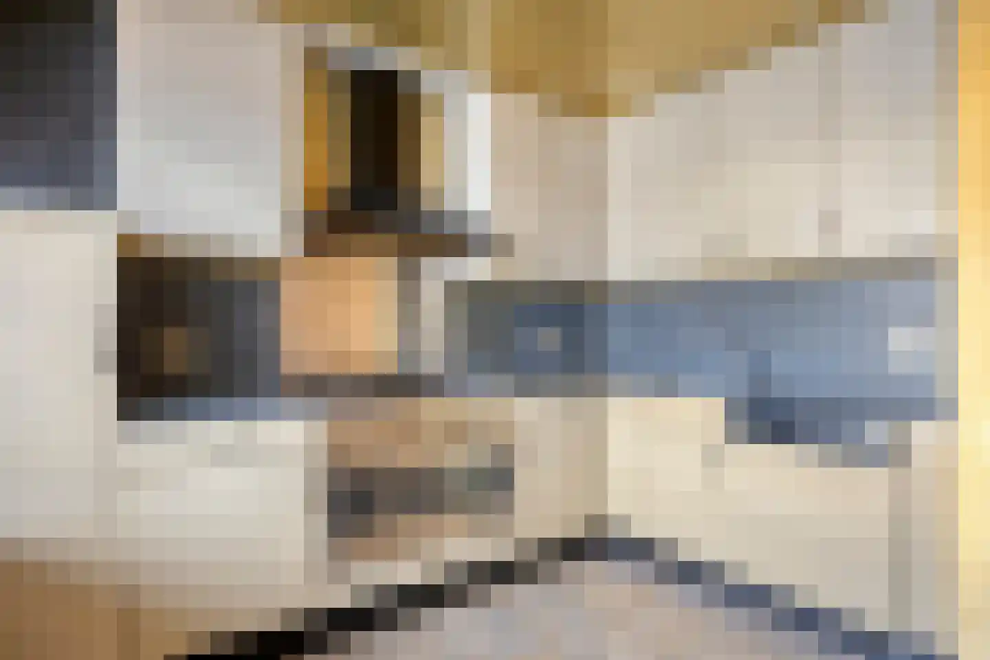 Beukelaar 6 Geldrop thumbnail 14
