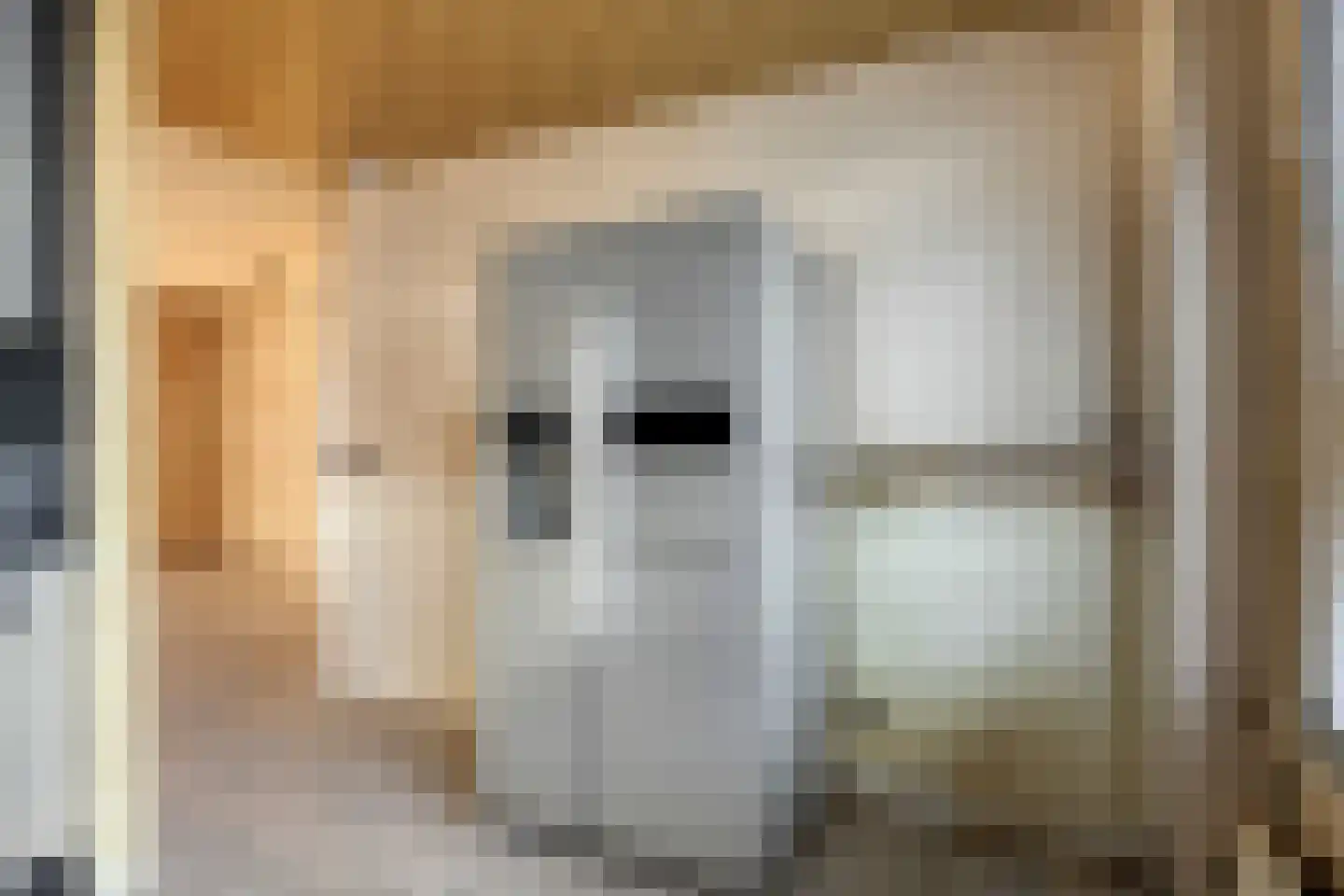 Beukelaar 6 Geldrop thumbnail 16