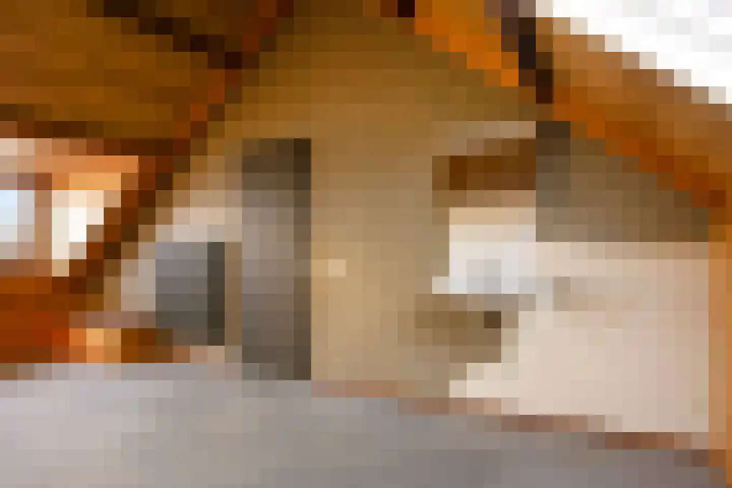 Beukelaar 6 Geldrop thumbnail 32