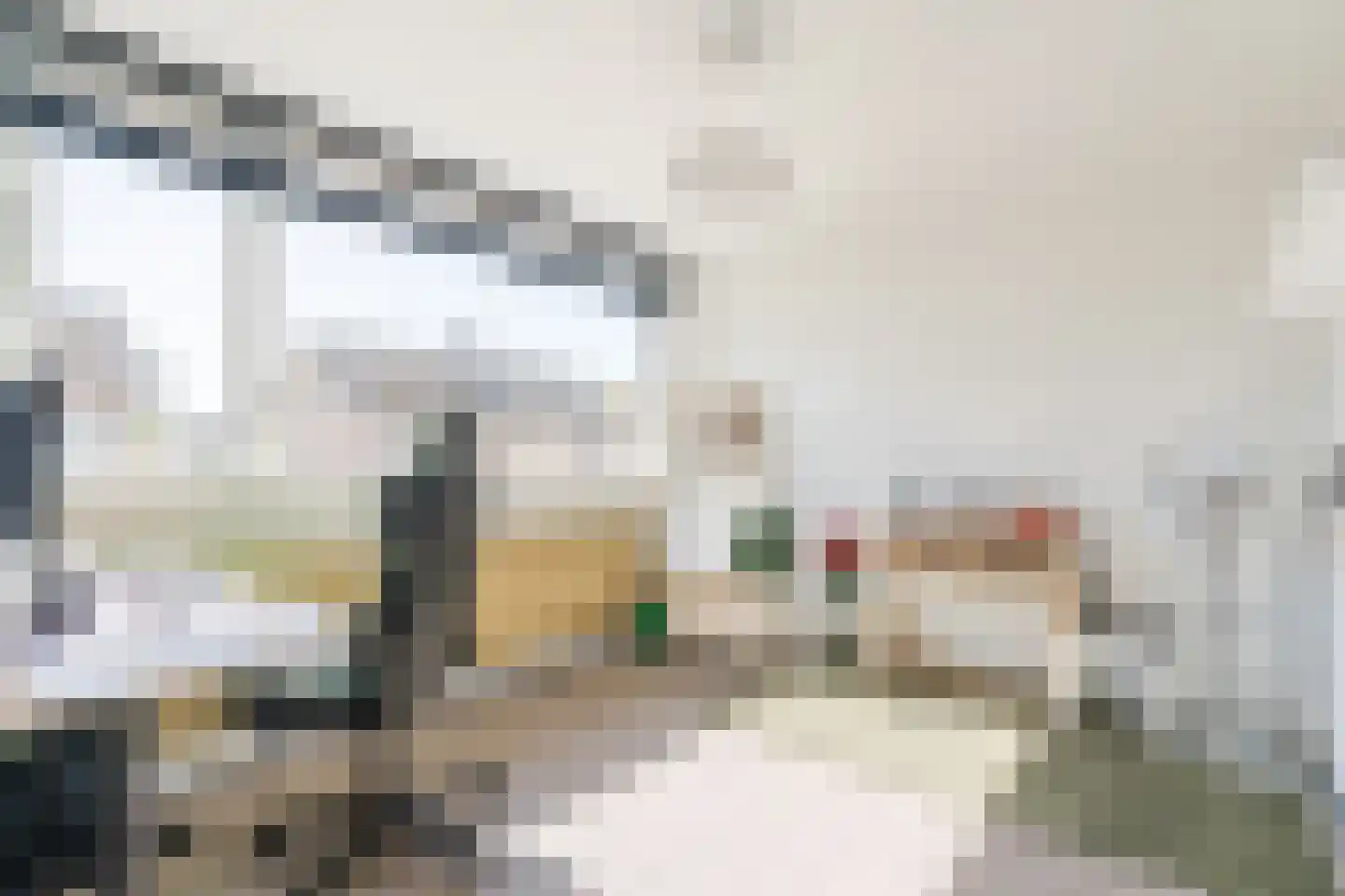 Beukelaar 9 Someren thumbnail 31