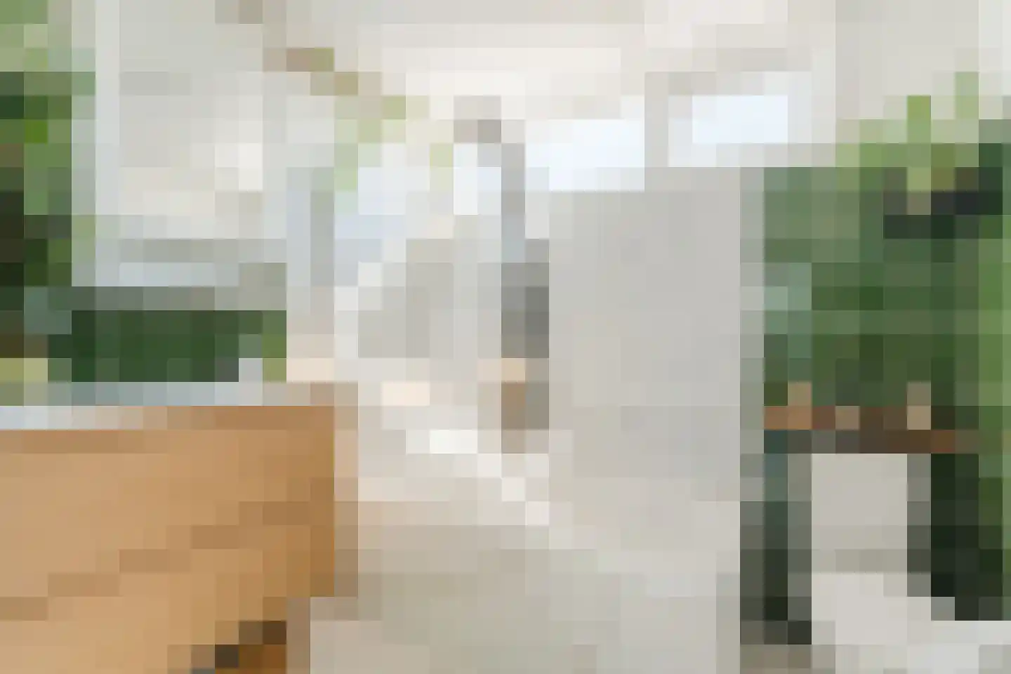 Beukelaar 9 Someren thumbnail 35