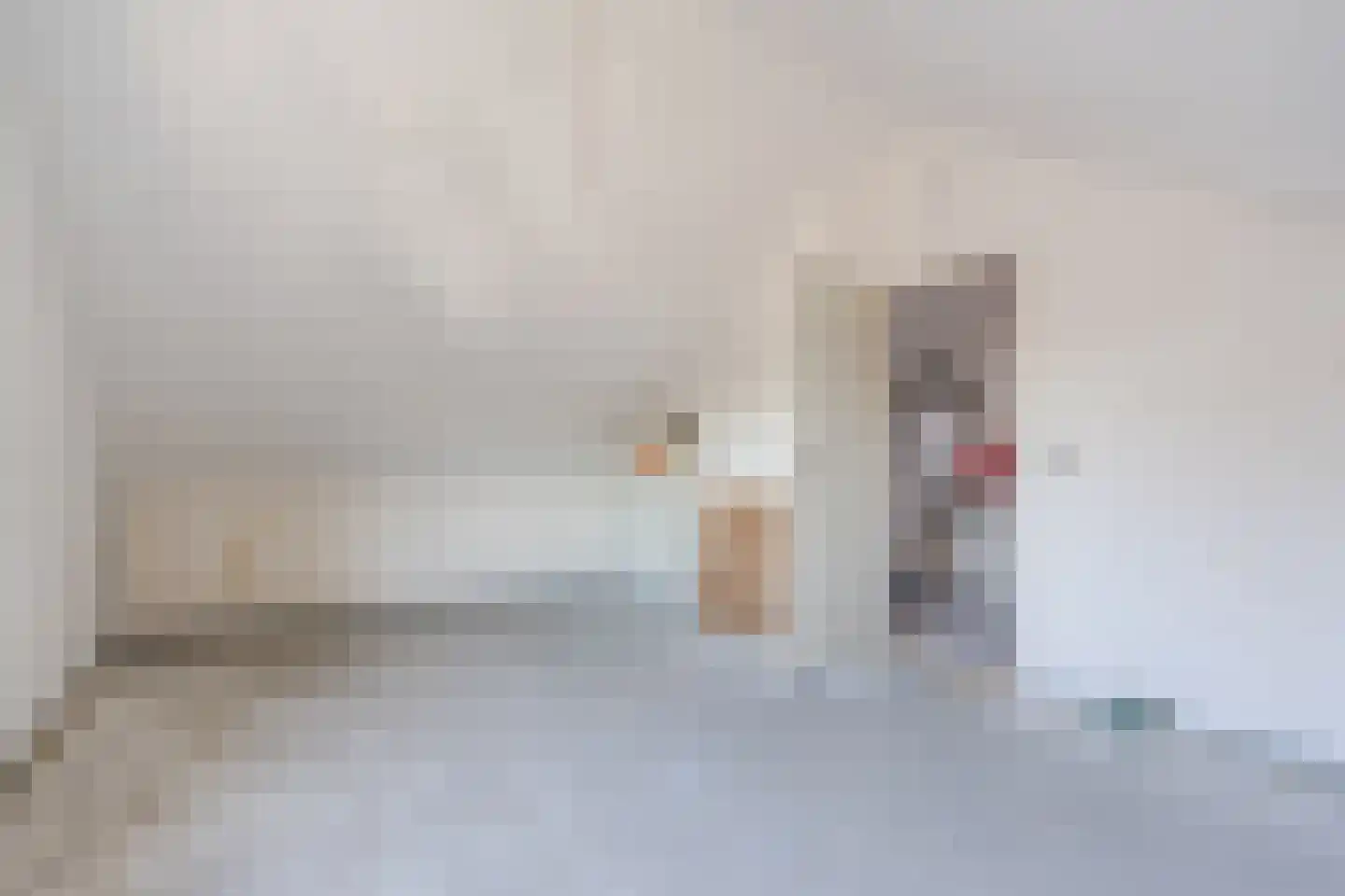 Beukelaar 9 Someren thumbnail 42