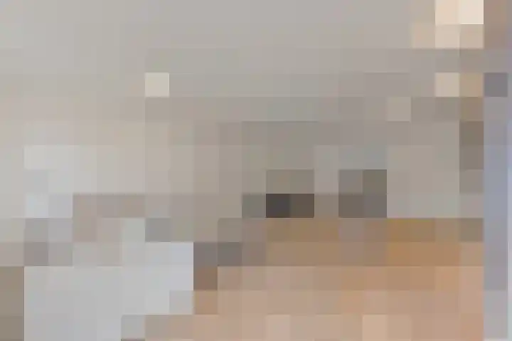 Beukelaarsstraat 95 Rotterdam thumbnail 6