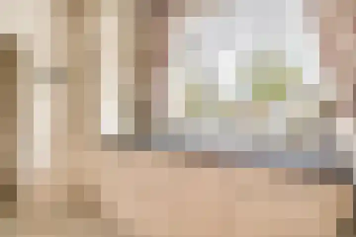 Beukelaarstraat 7 Veghel thumbnail 12
