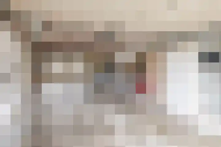 Beukelaarstraat 7 Veghel thumbnail 21