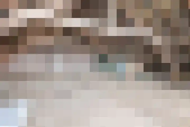 Beukelaarstraat 7 Veghel thumbnail 23