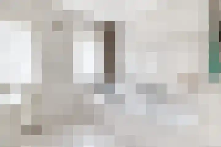 Beukelaarstraat 7 Veghel thumbnail 26