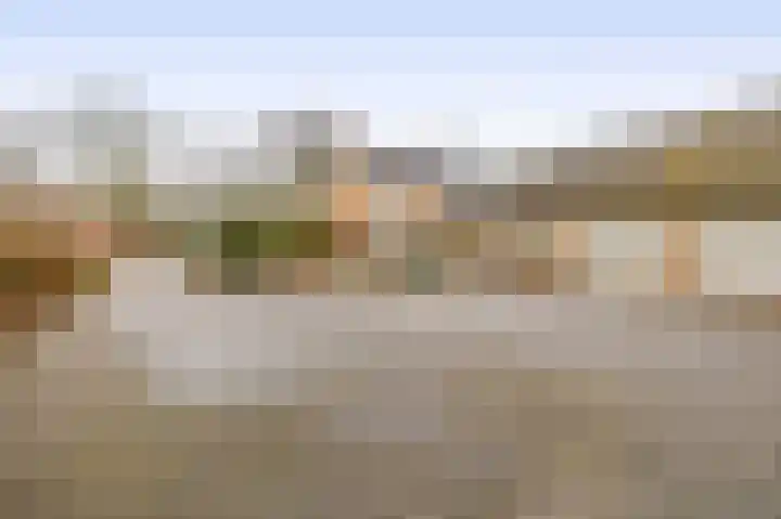 Beukelaarstraat 7 Veghel thumbnail 33