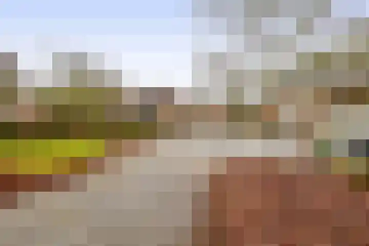 Beukelaarstraat 7 Veghel thumbnail 34