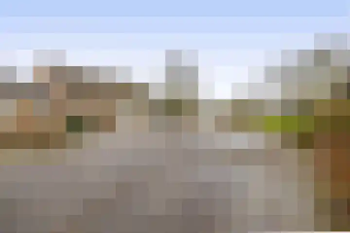 Beukelaarstraat 7 Veghel thumbnail 35