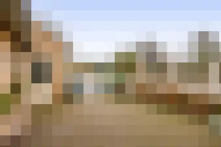 Beukelaarstraat 7 Veghel thumbnail 36