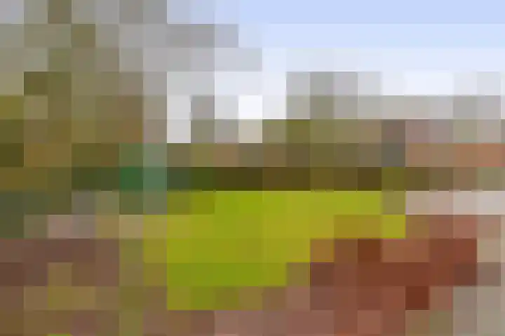 Beukelaarstraat 7 Veghel thumbnail 37