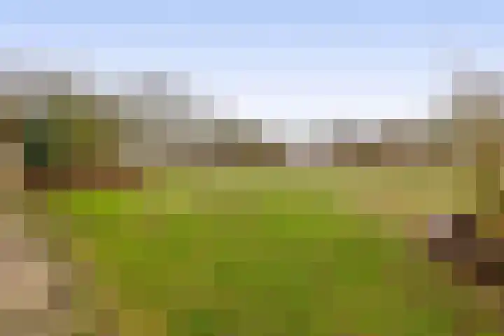 Beukelaarstraat 7 Veghel thumbnail 38