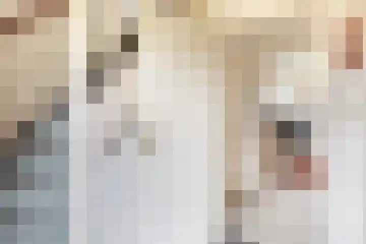 Beukelaarstraat 7 Veghel thumbnail 4