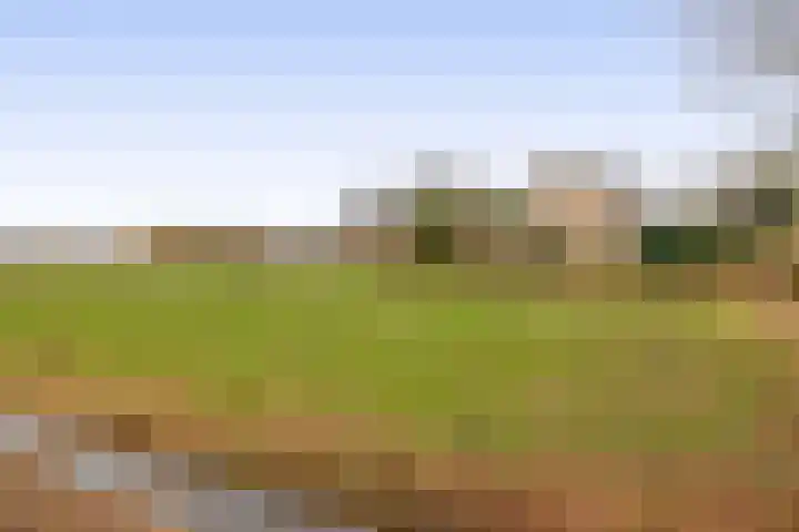 Beukelaarstraat 7 Veghel thumbnail 40