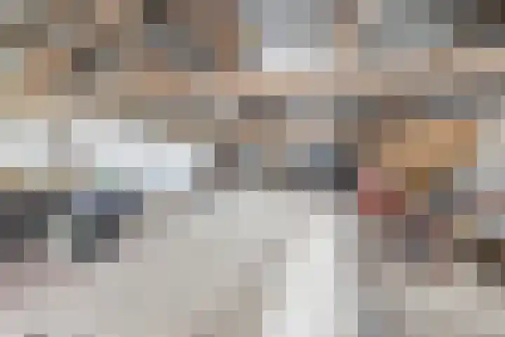 Beukelaarstraat 7 Veghel thumbnail 42