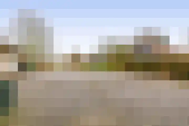 Beukelaarstraat 7 Veghel thumbnail 45