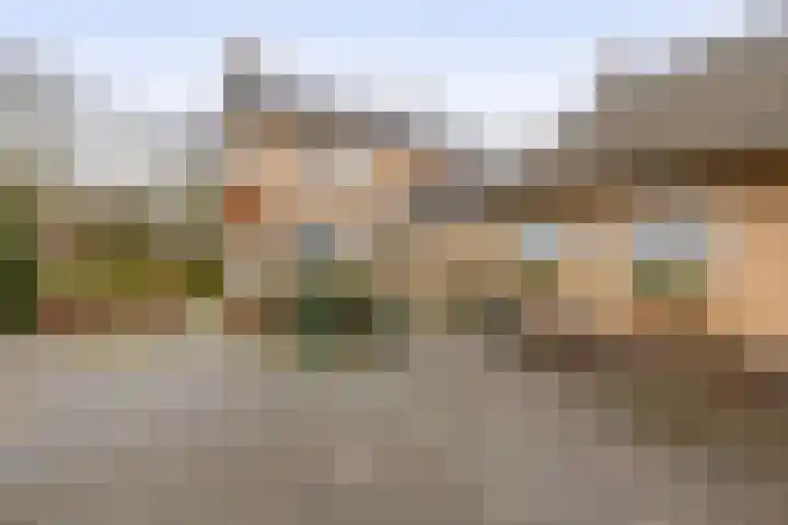 Beukelaarstraat 7 Veghel thumbnail 46