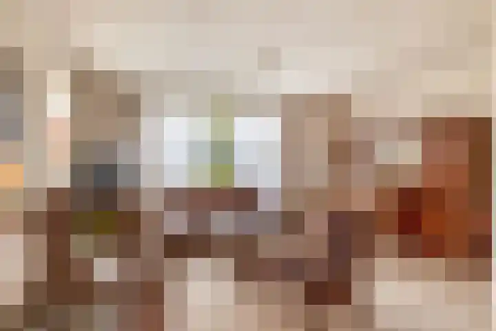 Beukelaarstraat 7 Veghel thumbnail 5