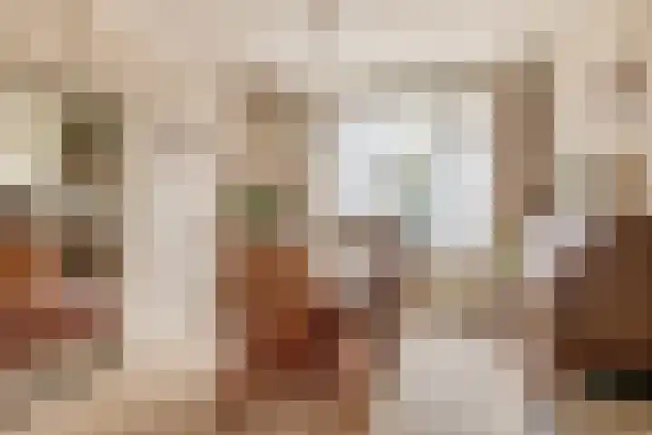 Beukelaarstraat 7 Veghel thumbnail 8