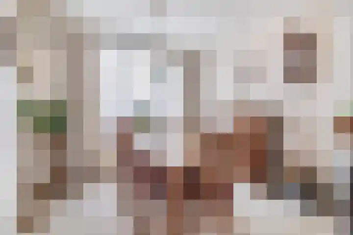 Beukelaarstraat 7 Veghel thumbnail 9