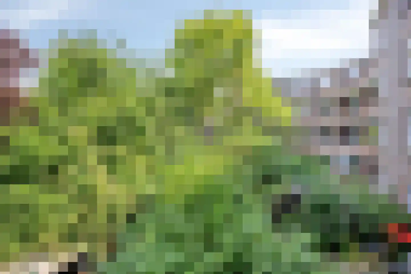Beukelsdijk 143 B 01L Rotterdam thumbnail 23