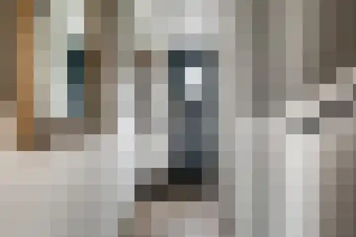 Beukelsdijk 151 BGL Rotterdam thumbnail 16