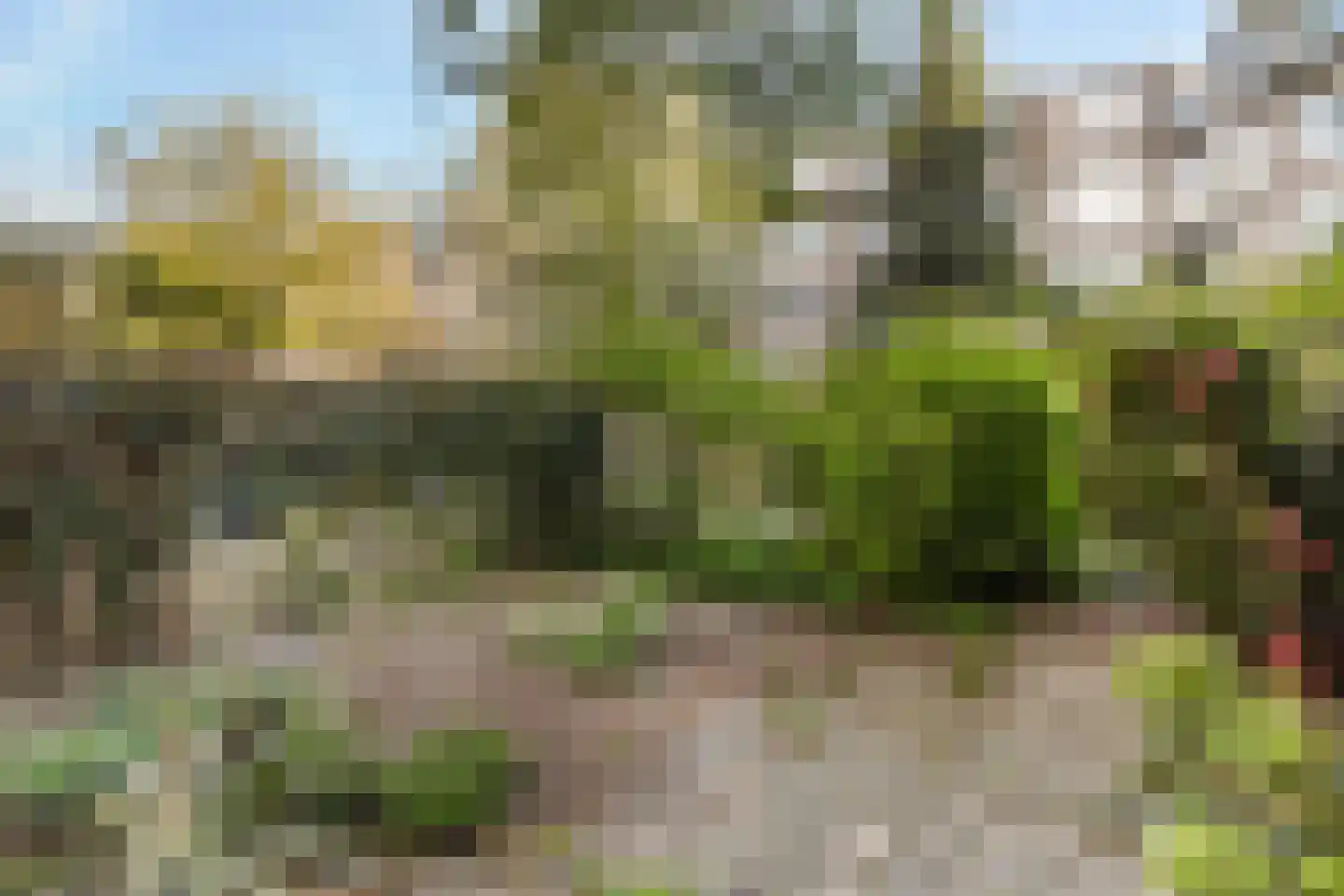 Beukelsdijk 54 A Rotterdam thumbnail 31