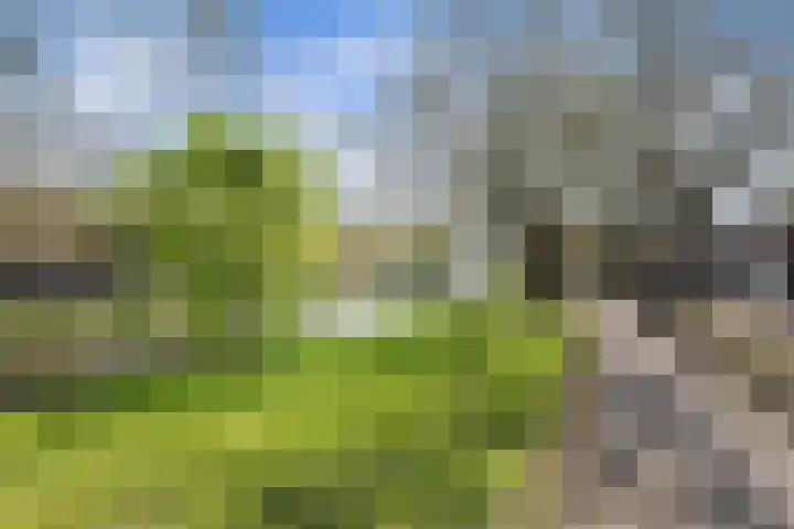 Beukelsdijk 86 B Rotterdam thumbnail 5