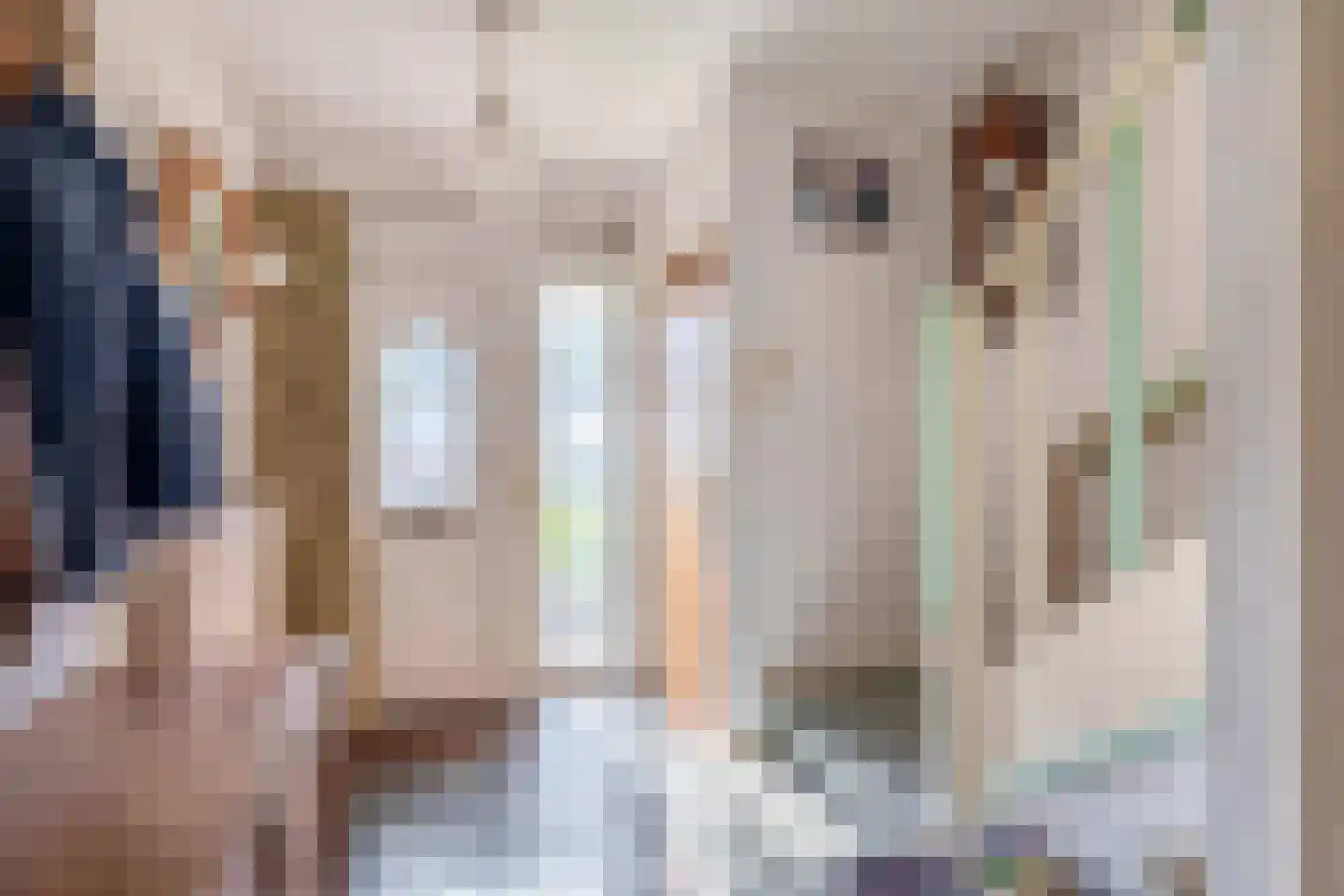 Beukelstraat 23 Reuver thumbnail 18
