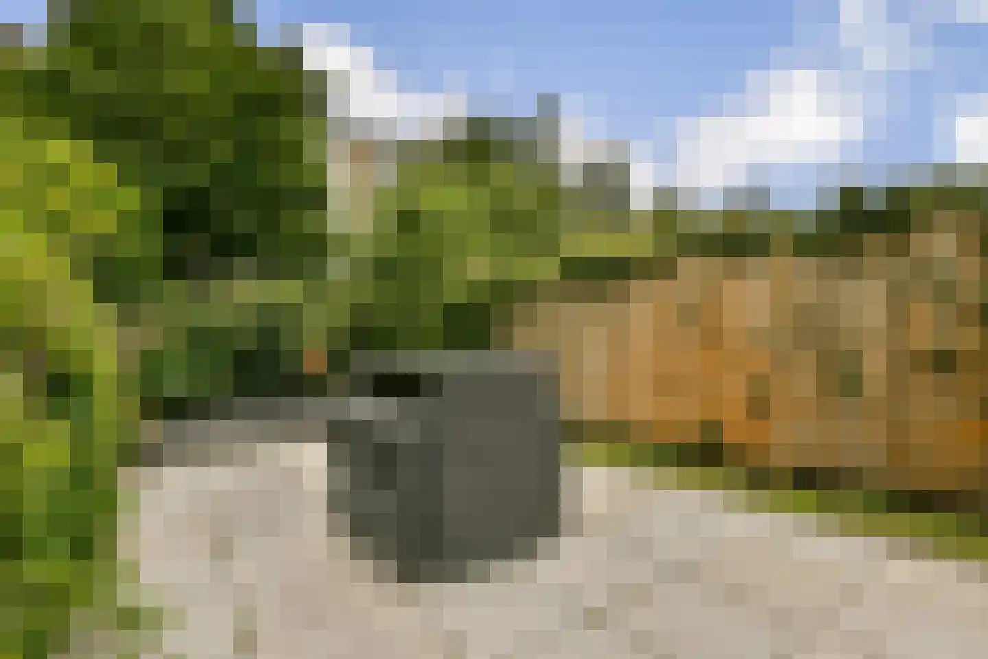 Beukelsweg 14 A 02V Rotterdam thumbnail 17