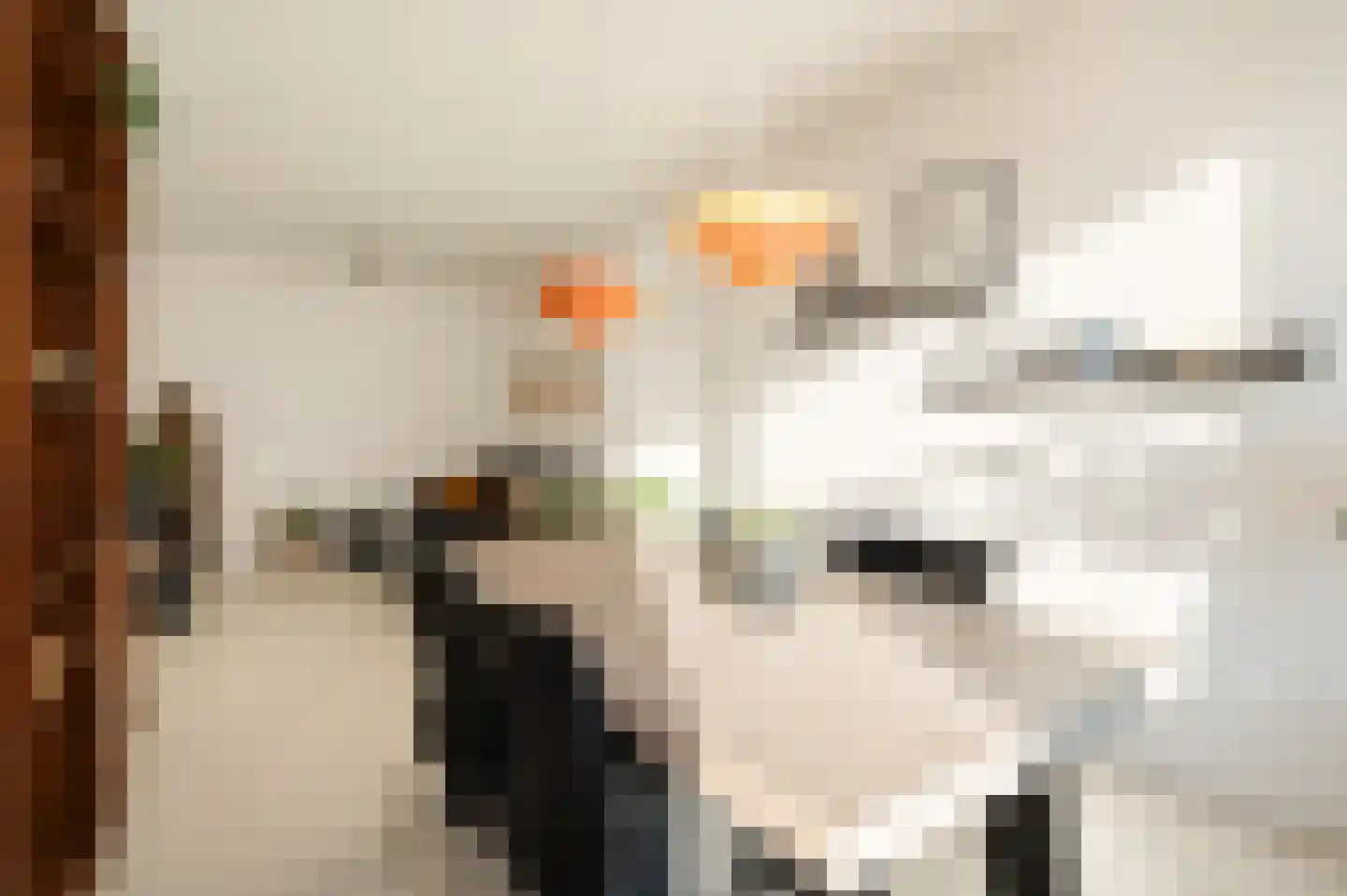 Beukelsweg 17 A Rotterdam thumbnail 10