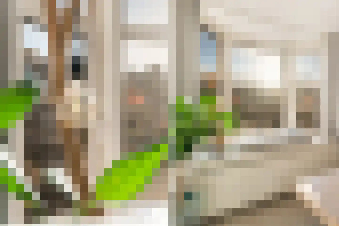 Beukelsweg 17 A Rotterdam thumbnail 13
