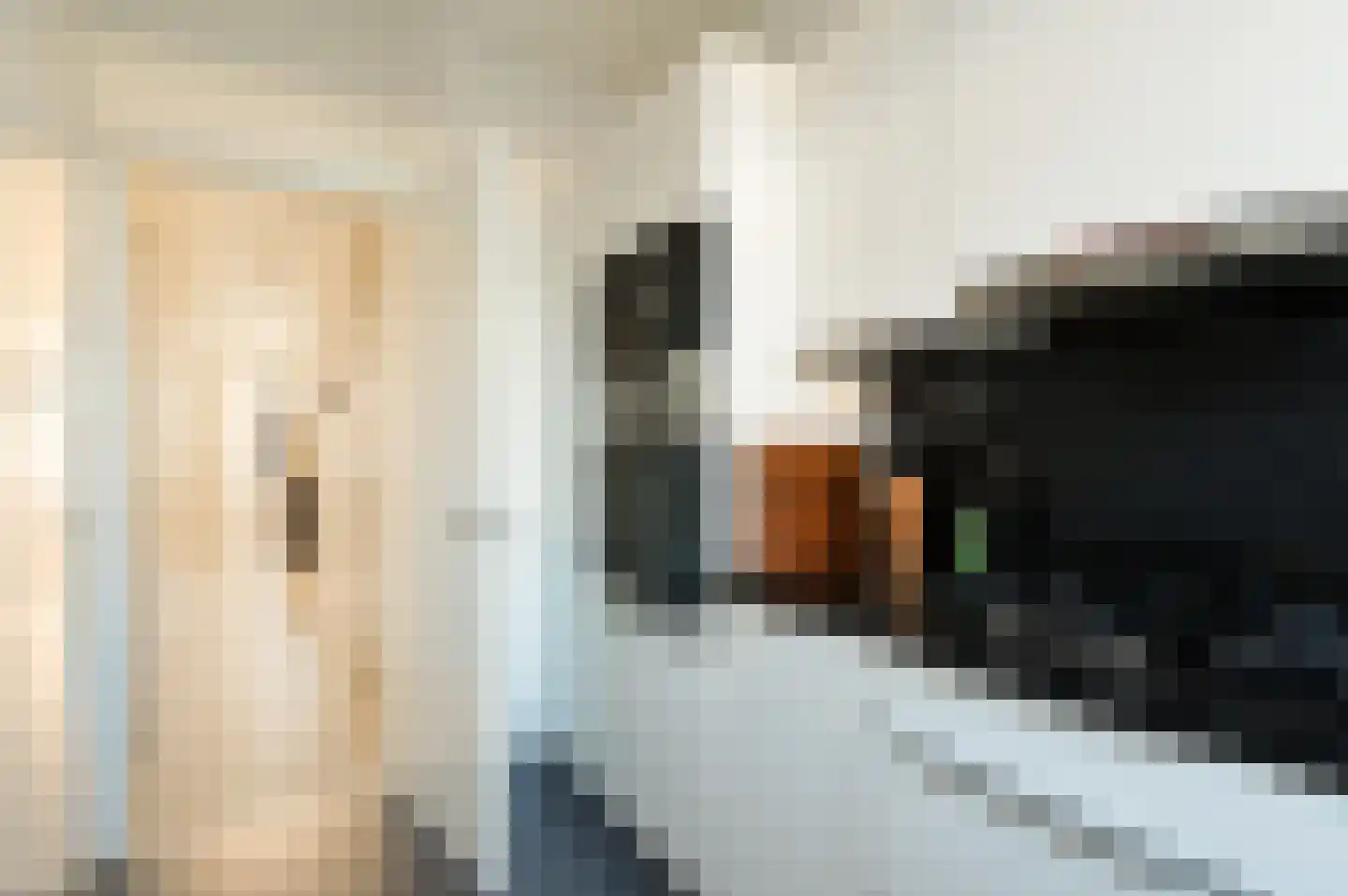 Beukelsweg 17 A Rotterdam thumbnail 16