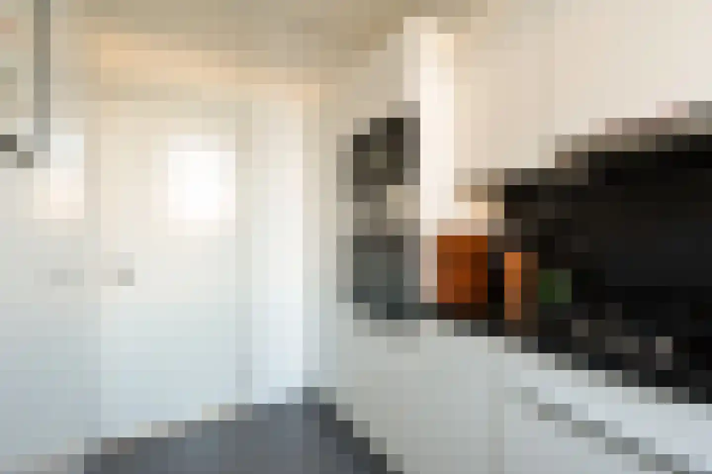 Beukelsweg 17 A Rotterdam thumbnail 17