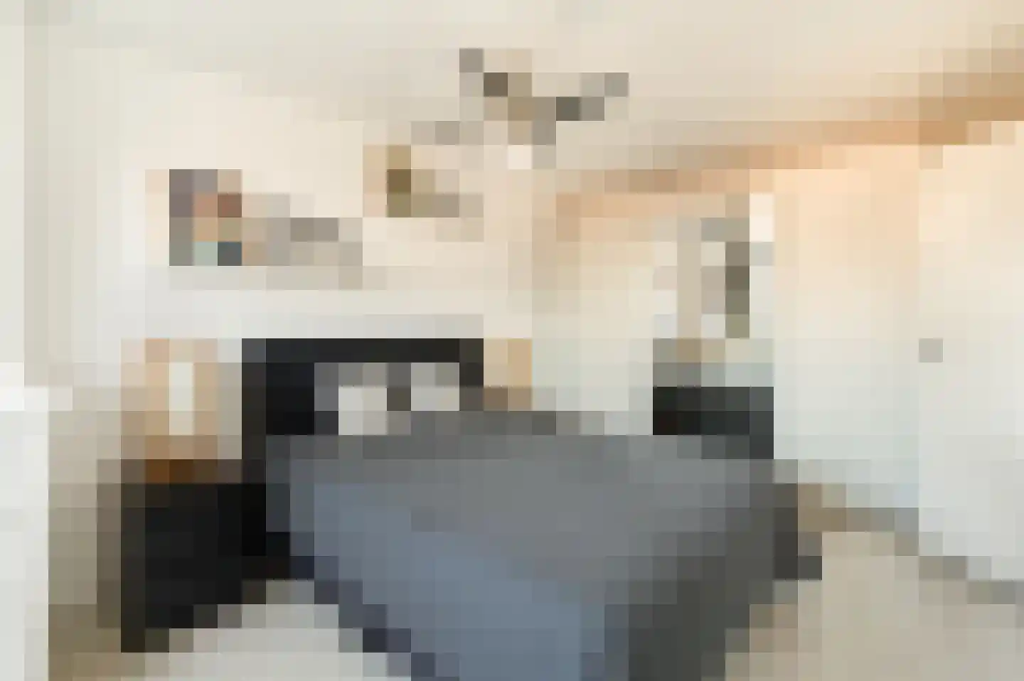 Beukelsweg 17 A Rotterdam thumbnail 23