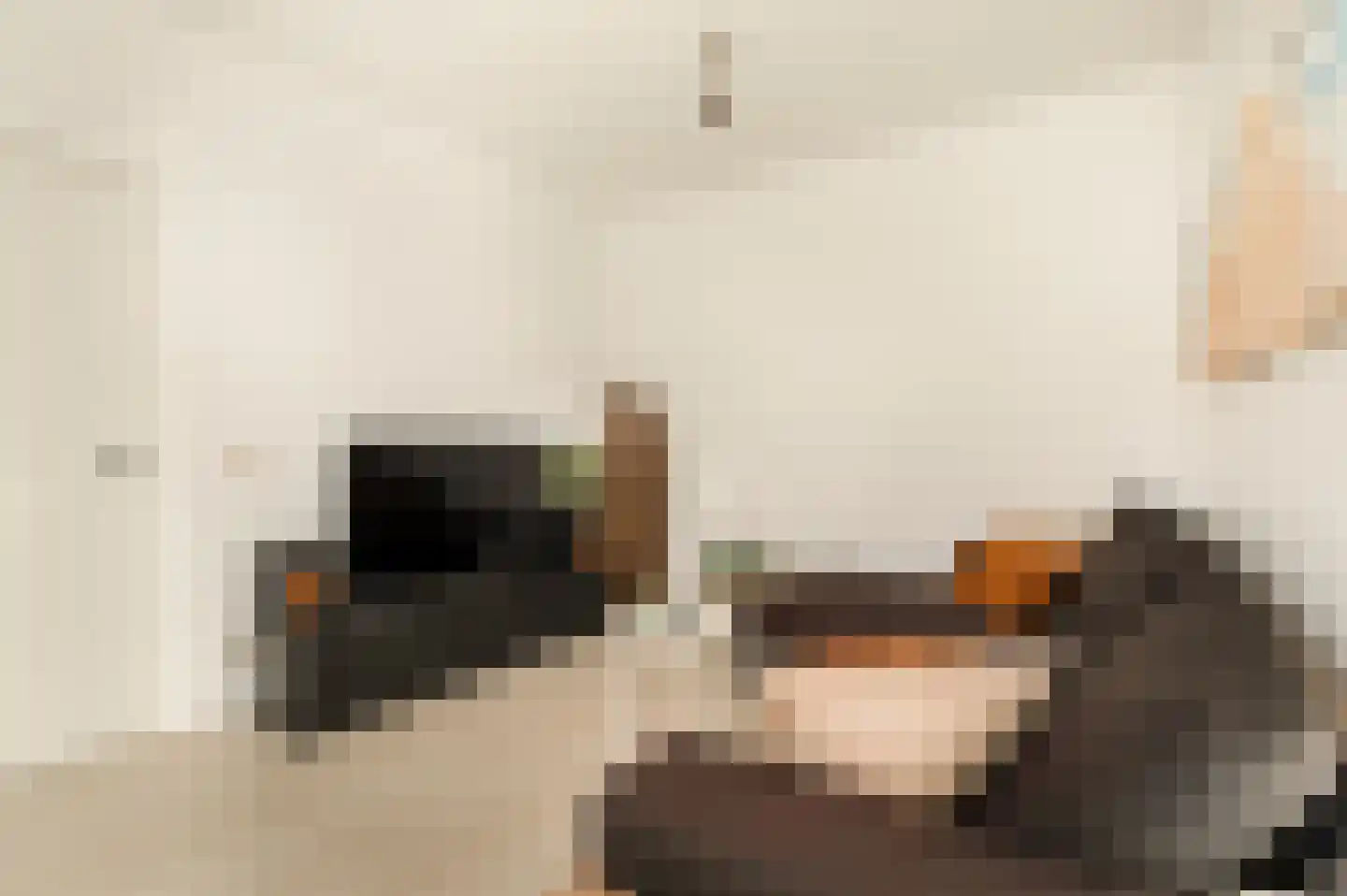 Beukelsweg 17 A Rotterdam thumbnail 6