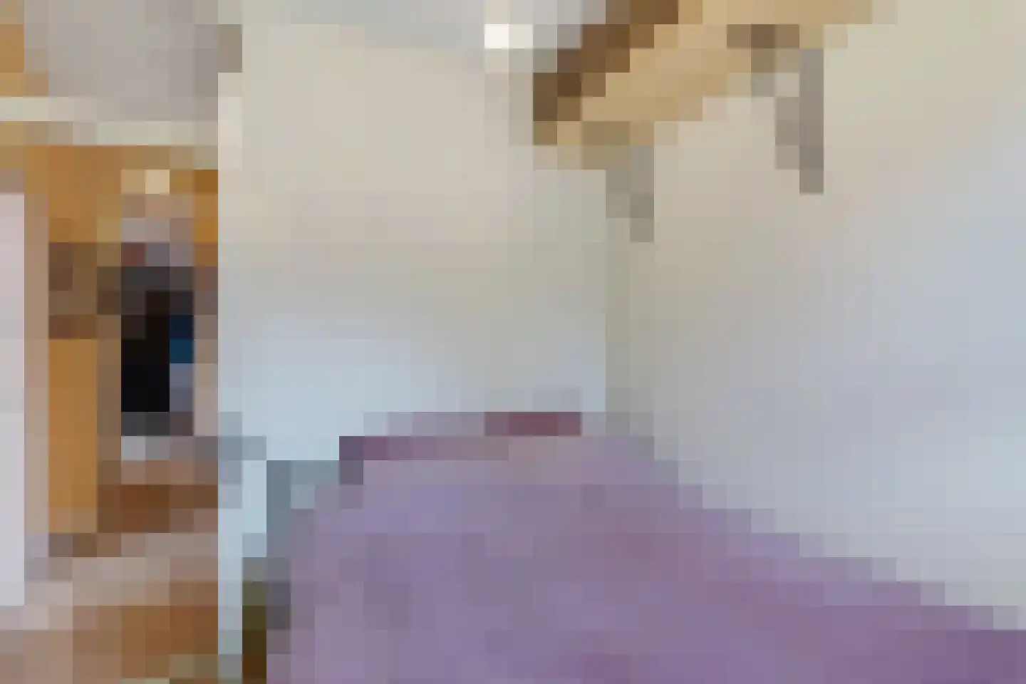 Beukelsweg 2 B 01 Rotterdam thumbnail 21