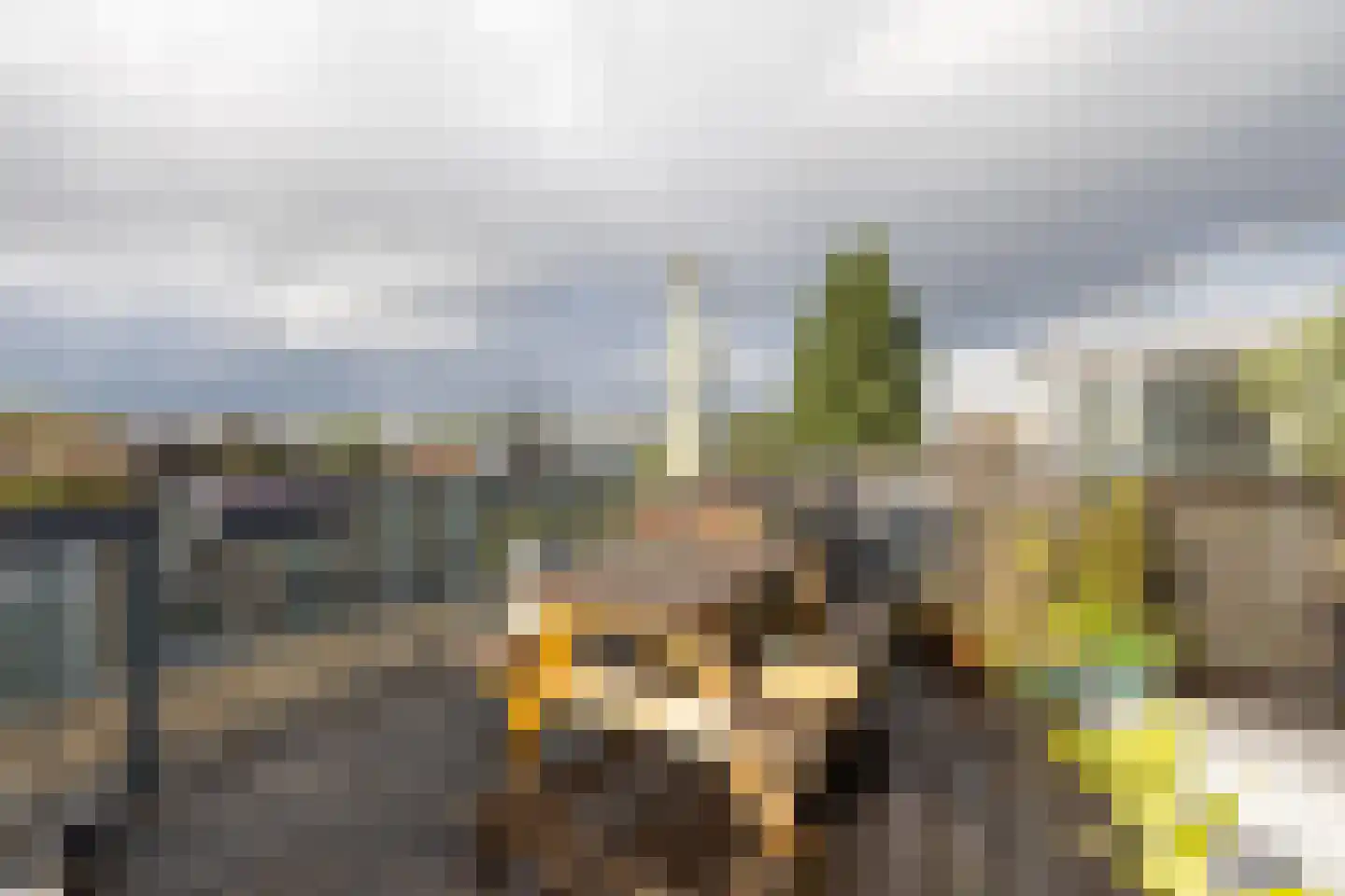 Beukelsweg 24 A 01 Rotterdam thumbnail 36